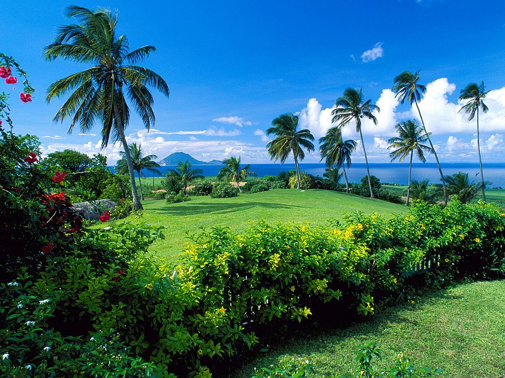 Saint Kitts